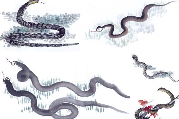 揭秘：注意，这三大生肖下半年容易有烂桃花