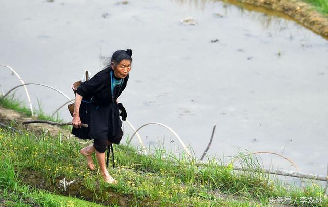 什么八字一生会比较辛苦？