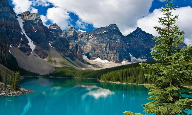 2017年6月10日时来运转，情投意合，苦尽甘来的三大生肖