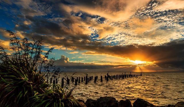 2017年6月10日时来运转，情投意合，苦尽甘来的三大生肖