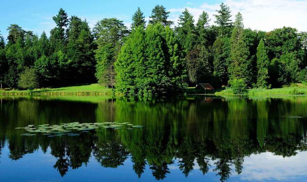 2017年6月10日时来运转，情投意合，苦尽甘来的三大生肖