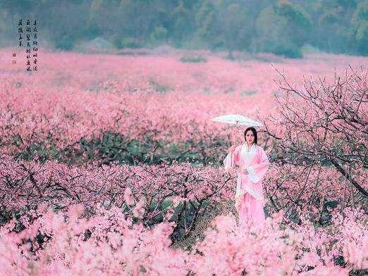 八字分析：桃花带羊刃