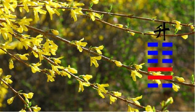 《周易》的六十四卦：每日一卦一解——升卦