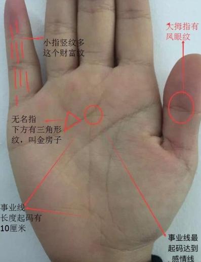 千万身家的手相