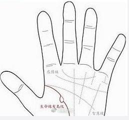 这种手相的人，身体素质较差，晚年易有多病