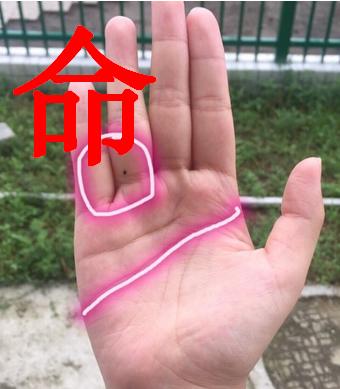 天生劳碌命的手相
