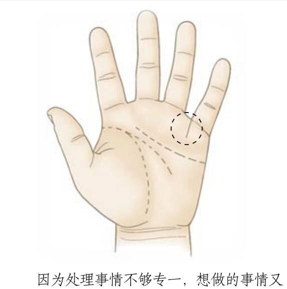 财源滚滚来的手相