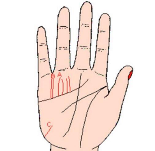 一辈子求财辛苦，劳累奔波，创业艰难的手相特征