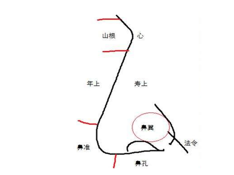 想知道你的另一半长什么样吗？通过面相分析你的伴侣