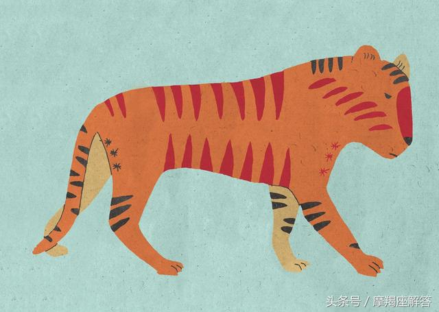 今日运势最旺的生肖：马、兔、猴、虎！