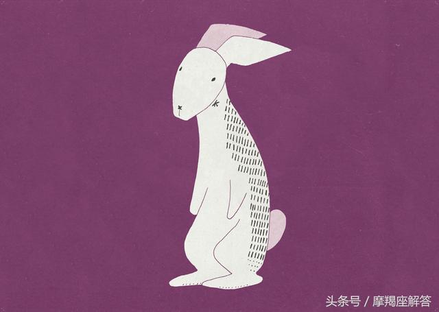 今日运势最旺的生肖：马、兔、猴、虎！