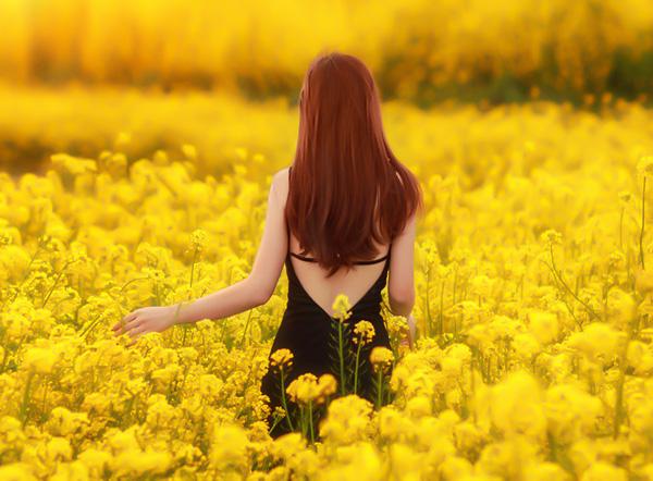 6月起，好运旺到2018的生肖，不仅财多福气也多