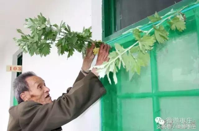 枣庄端午节独特民俗