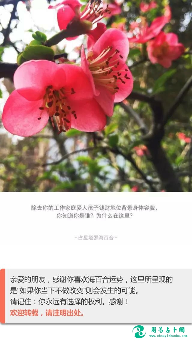 每周运势｜2017年第25周（06.12~06.18）