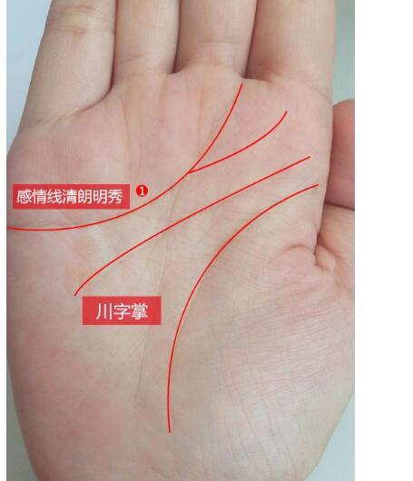 老板命的手相，注定能发家致富