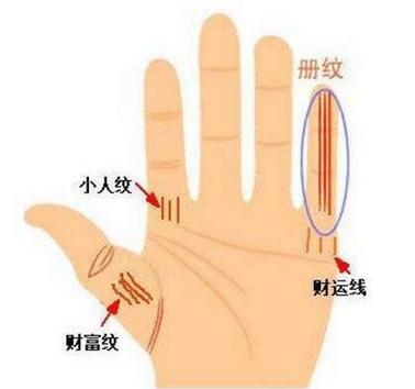 凤眼纹，好命之人的手相，此生必定能大富大贵