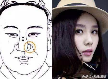 秒懂面相：从鼻子看财运事业（五）