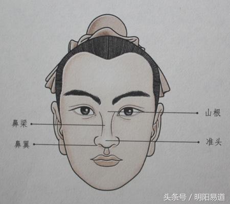 秒懂面相：从鼻子看财运事业（五）