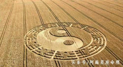 盲派“八字黄金策”总决！大家想要的！看看自己是什么命！收藏