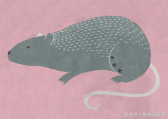 6月12日运势最佳生肖：马、鼠、兔、猴、羊！