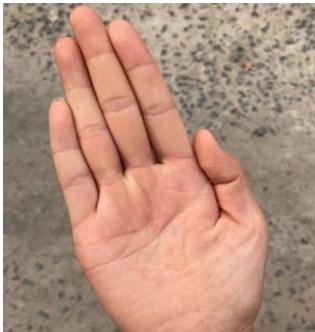 多婚命的手相，头婚百分百会离婚的手相