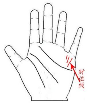 手指有这3个特征注定多福，来看看你有吗？