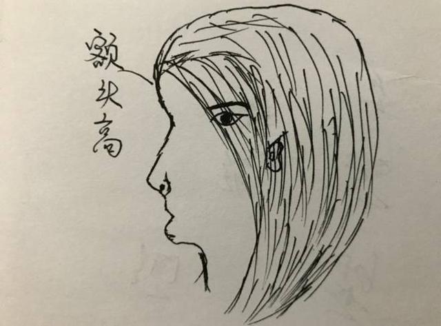 面相：六种女人<a href=/article-458-1.html target=