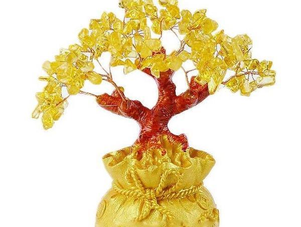 未来7天名利双收喜事多，好运不断的生肖