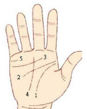 男人手大抓宝，女人手大抓草，注定是操心劳碌命的手相