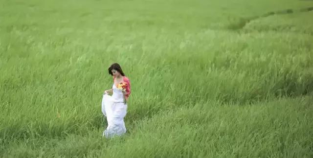 从微信头像看性格，准！你属于哪一种呢？