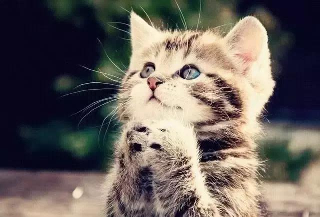 从微信头像看性格，准！你属于哪一种呢？