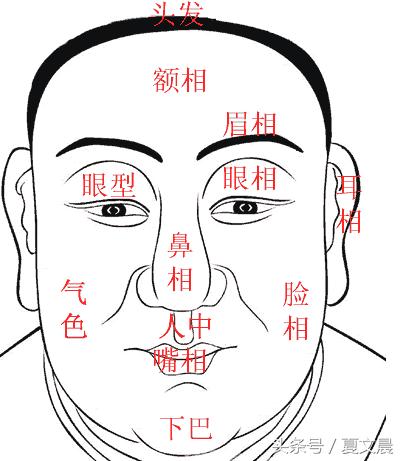 这种面相的人，一生贵人多助，注定是大吉之人