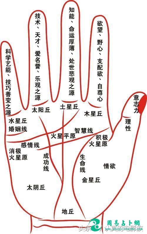 注定先贫后富，得贵人帮助步步高升的手相