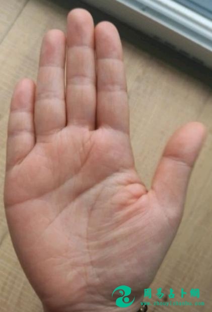 一生富态天生拥有经商头脑的手相