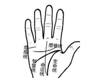 最旺财的手相，注定财源滚滚