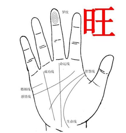 最旺财的手相，注定财源滚滚