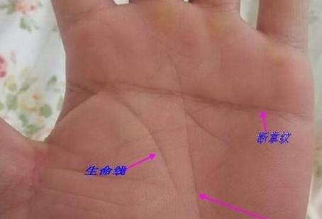 有此手相者，白手起家，注定是大富之人