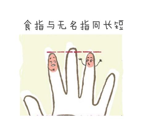 从你的手指长度，看穿你的命运性格，准到爆！