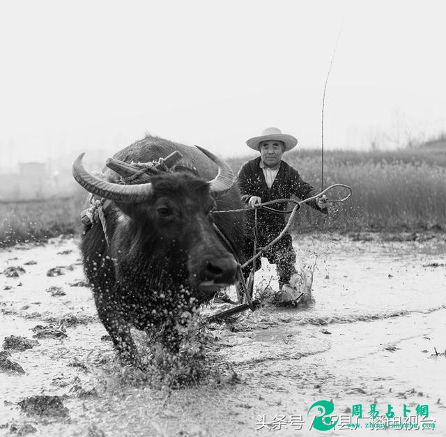 新县民俗｜百姓生活（一）