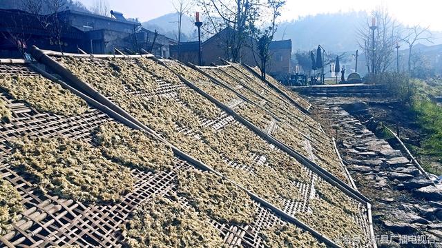 新县民俗｜百姓生活（一）