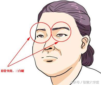 这种面相的女人，十有八九是母老虎