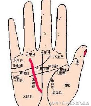 百年难得一遇，注定是有钱人的手相