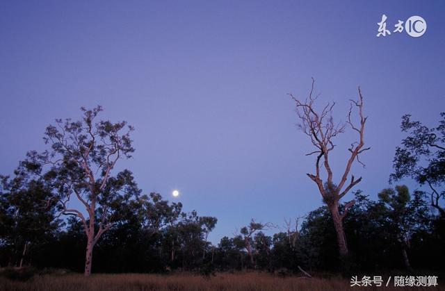 算命先生的自述：鬼摸头真实事例
