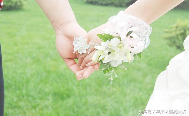 精准预测：<a href=/cebazi target=