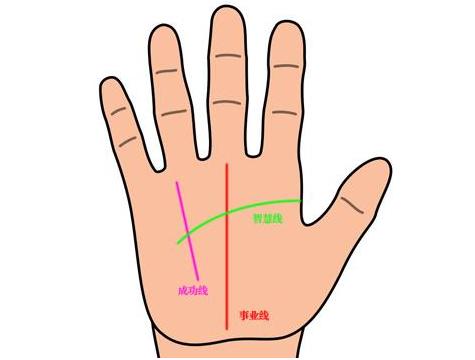 手相中有这条纹路出现，十个“官运亨通”，九个“亿万富翁”，今生必定有所作为！