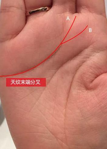 少奶奶命的手相