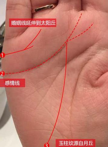 少奶奶命的手相