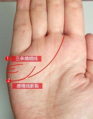 头胎生女，二胎必生男，子孙孝顺，注定能享受天伦之乐的手相