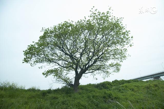 八字读懂人生