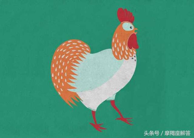 这五个生肖女有这面相就会大富大贵！